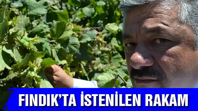 'Fındık bu yıl üreticinin kabul edeceği bir rakama ulaşacaktır'