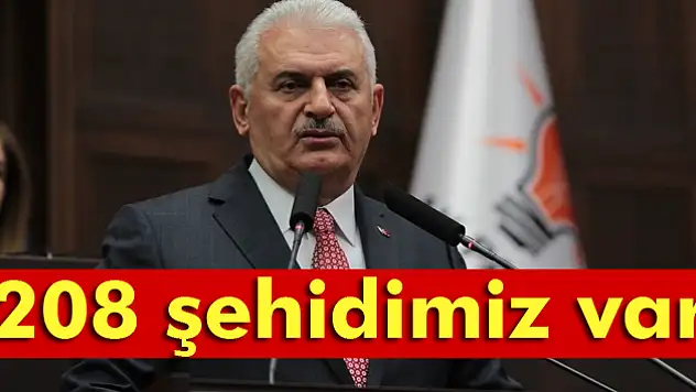 Yılıdırım: '60'ı polis 3'ü asker toplam 208 şehidimiz var'