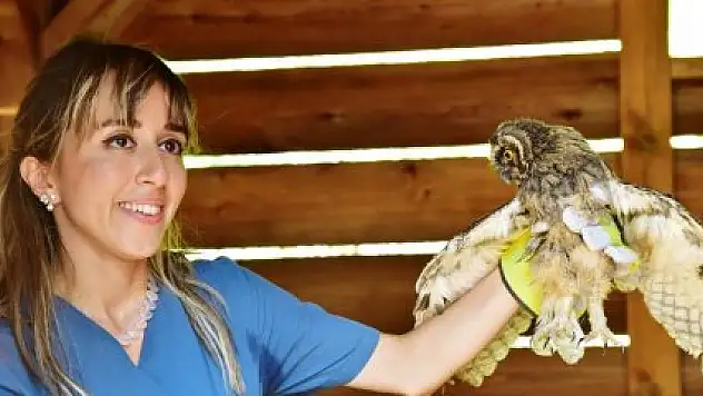 Yaban hayvanları doğal ortamında tedavi ediliyor