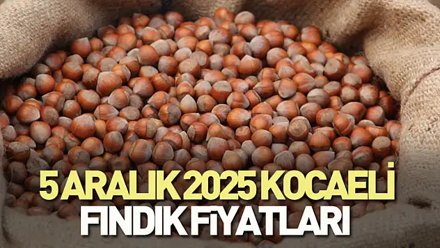 5 Aralık 2025 Kocaeli Fındık Fiyatları? 321 TL Bandı Göründü
