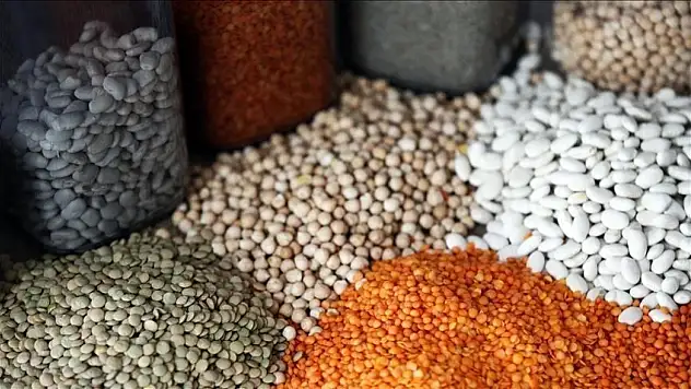 5 ayda 1,5 milyar dolarlık hububat ihracatı gerçekleştirildi