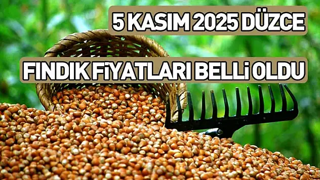 5 Kasım 2025 Düzce Fındık Fiyatları Açıklandı: İlçelere Göre Güncel Liste!