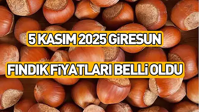 5 Kasım 2025 Giresun Fındık Fiyatları Belli Oldu