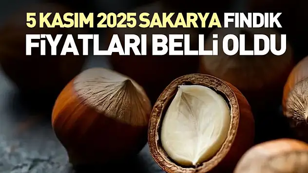 5 Kasım 2025 Sakarya Fındık Fiyatları Belli Oldu