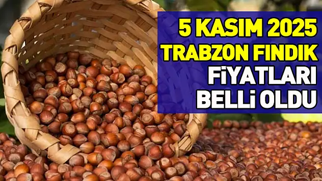 5 Kasım 2025 Trabzon Fındık Fiyatları Belli Oldu