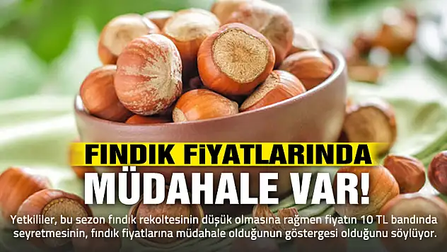 ORGİAD: 'Fındık fiyatlarına müdahale var'