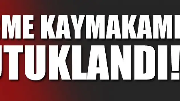  Terme Kaymakamı İlyas Gün tutuklandı