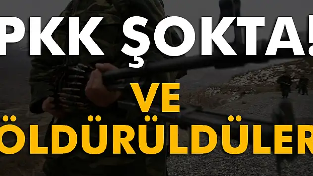 PKK'nın sözde bölge sorumluları öldürüldü