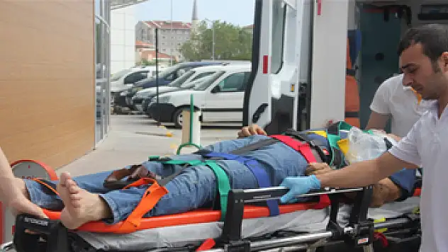 İncir toplarken canından oluyordu