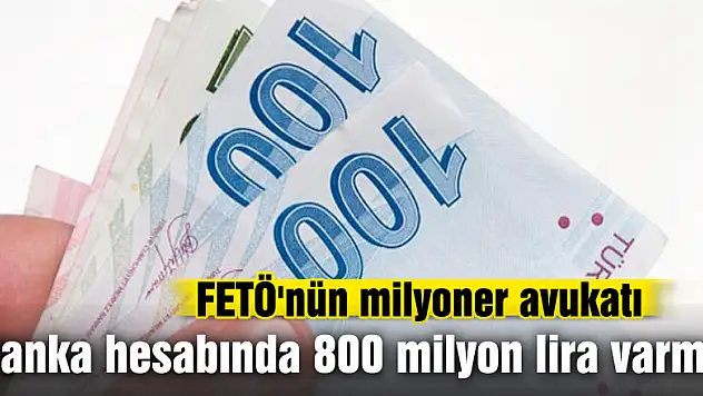 FETÖ'nün milyoner avukatı