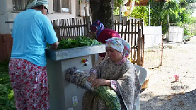 Bafralı tütün üreticileri destek bekliyor