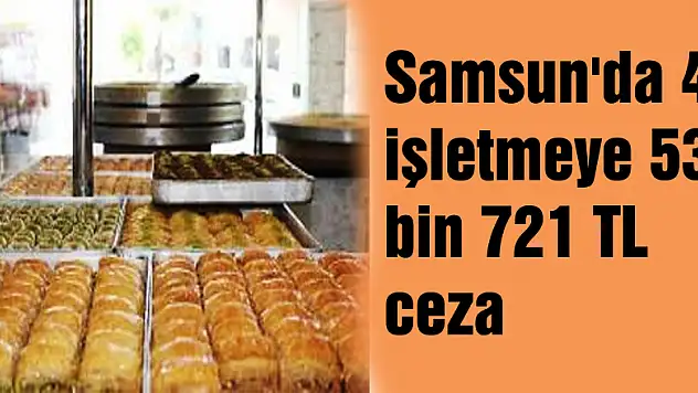 Samsun'da 4 işletmeye 53 bin 721 TL ceza