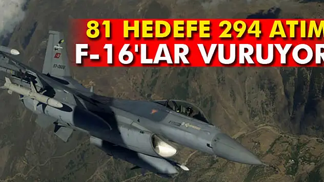 81 hedefe 294 atım