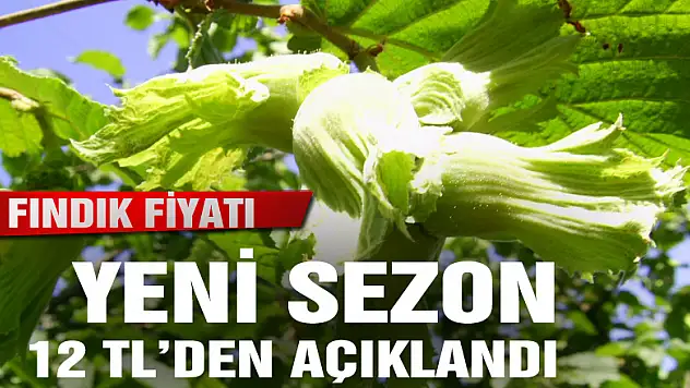 'Fındık Fiyatı' Değerlendirmesi