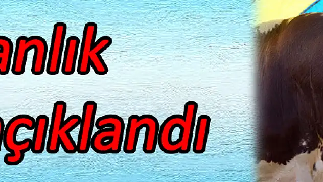 Kurbanlık fiyatları açıklandı