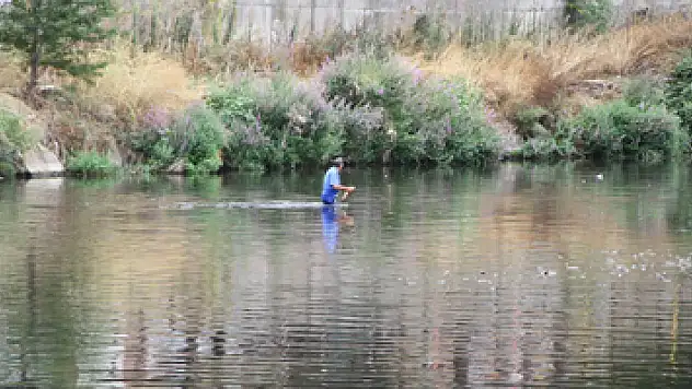 Samsun'da korkutan balık ölümleri
