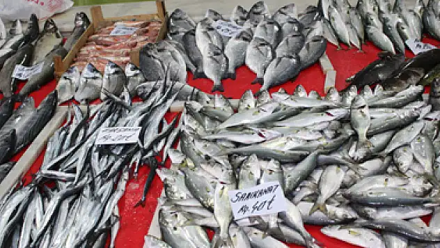 Balık zekayı geliştiriyor, bağışıklığı güçlendiriyor