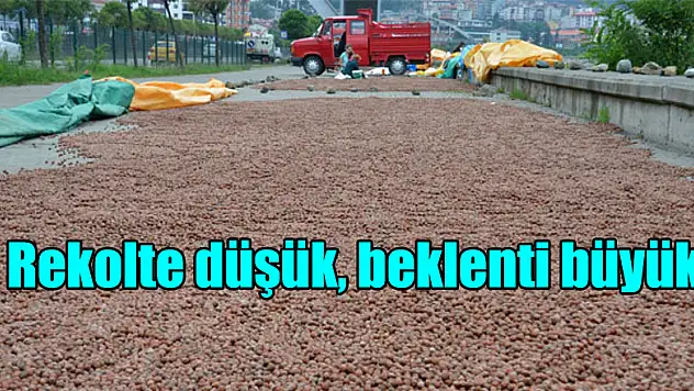 Rekolte düşük, beklenti büyük