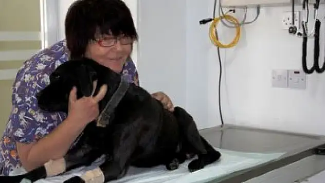 İlk Türk kadın veterinerlerin projesi dünyaya umut olacak