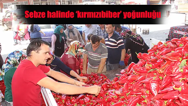 Sebze halinde 'kırmızıbiber' yoğunluğu