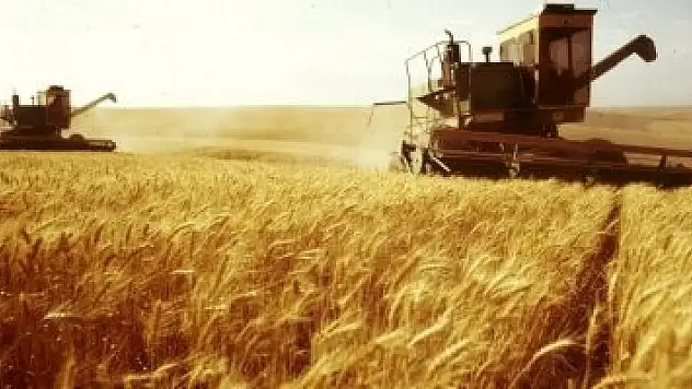 2016 yılı buğday hasadı sonu değerlendirmesi