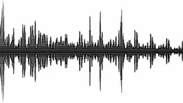 HDP'li vekillere ses analizi yapılacak