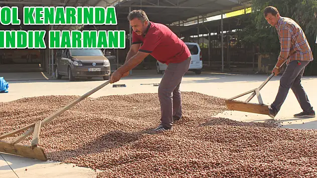 Yol Kenarında Fındık Harmanı