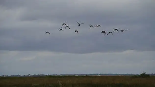  Kuş Cenneti sosyal medyadan takip edilebilecek 