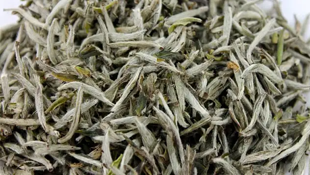 Kanser düşmanı beyaz çay