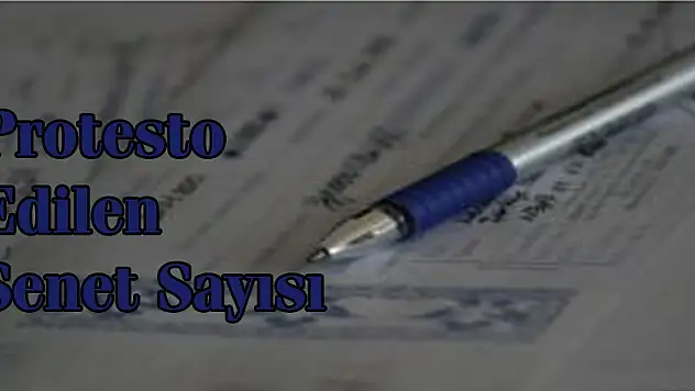 Protesto Edilen Senet Sayısı Arttı