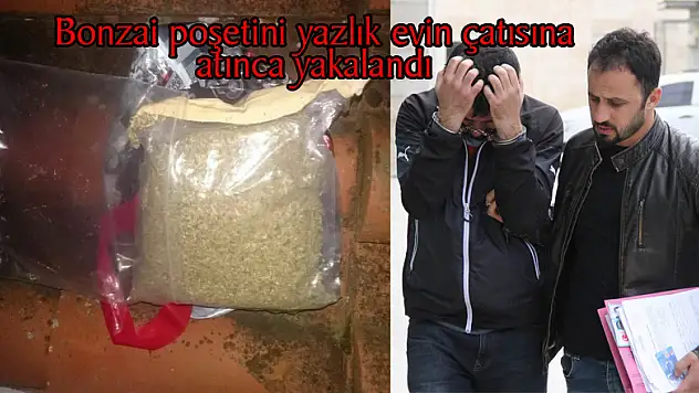 Bonzai poşetini yazlık evin çatısına atınca yakalandı