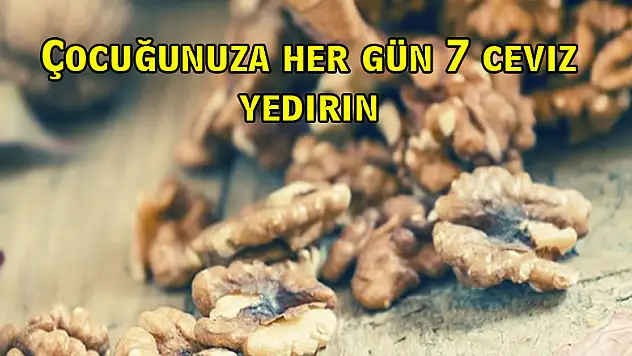 Çocuğunuza her gün 7 ceviz yedirin