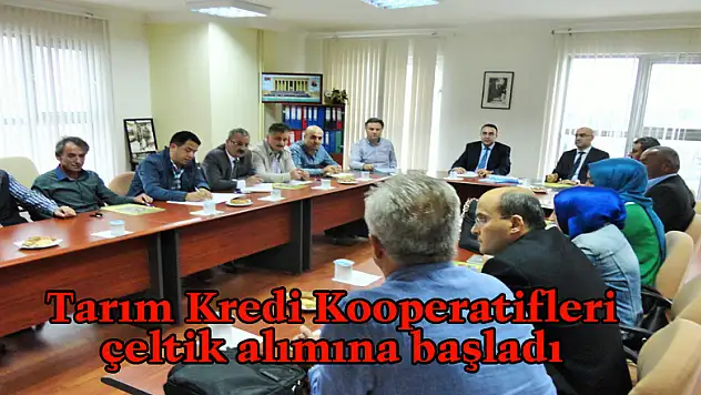 Tarım Kredi Kooperatifleri çeltik alımına başladı