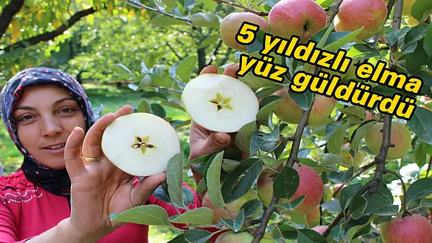 5 yıldızlı elma yüz güldürdü 
