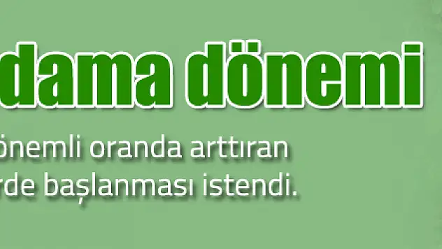 Fındıkta budama dönemi başladı