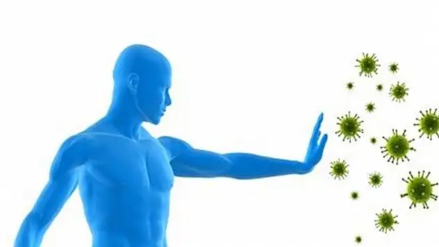 Bağışıklık sisteminizi 14 madde ile güçlendirin