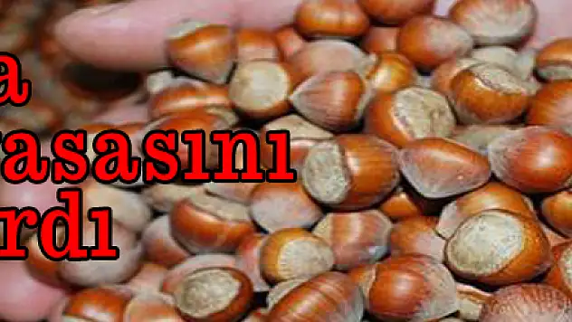 İtalya 'fındık' piyasasını karıştırdı