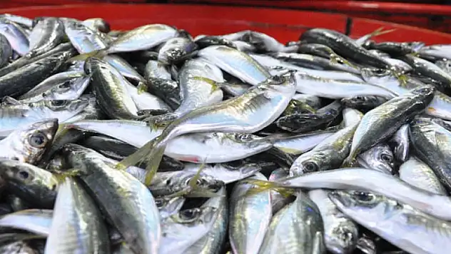 Hamsiyi kılçığı ile yerseniz...