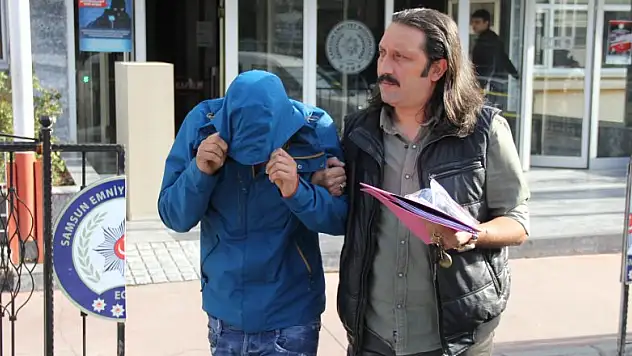  Evinin balkonunda kenevir yetiştirdi