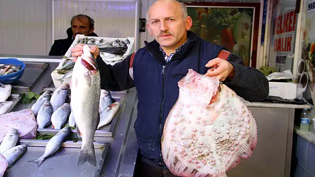 Balık var ama yiyen yok