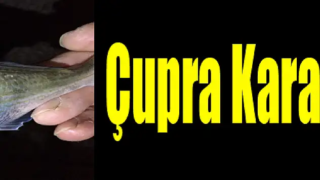  Çupra Karadenizli oluyor