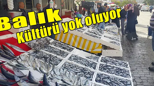 'Balık Kültürü yok oluyor'
