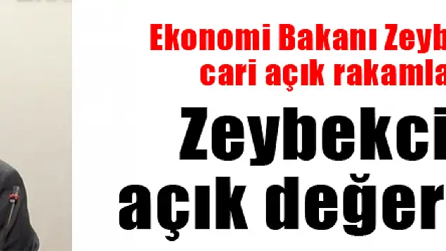 Zeybekci'den cari açık değerlendirmesi