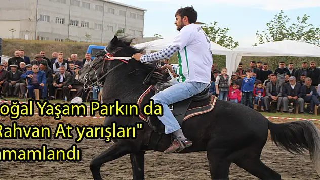 Doğal Yaşam Parkın da 'Rahvan At yarışları' tamamlandı