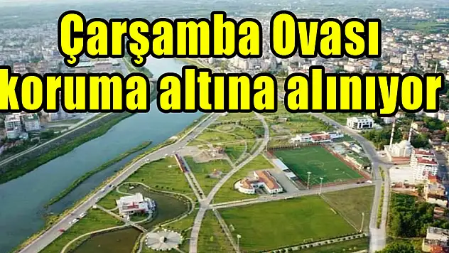 Çarşamba Ovası koruma altına alınıyor 