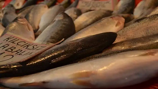 Balığın vücuda 10 faydası