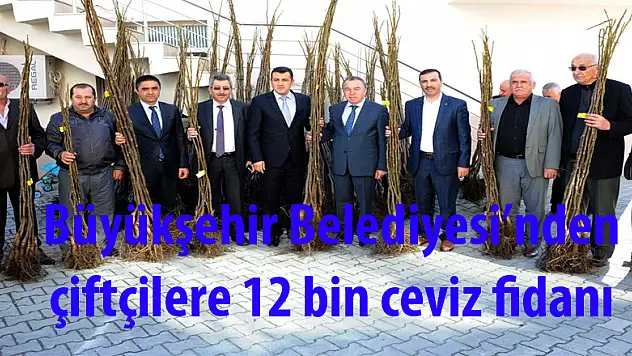 Büyükşehir Belediyesi'nden çiftçilere 12 bin ceviz fidanı