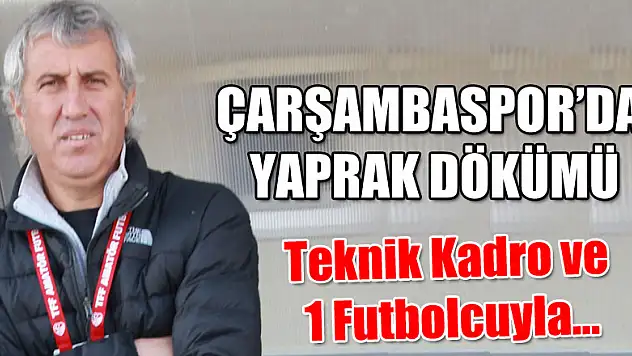 YEŞİL BEYAZLI' LARDA YAPRAK DÖKÜMÜ