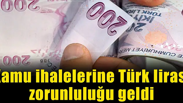 Kamu ihalelerine Türk lirası zorunluluğu geldi