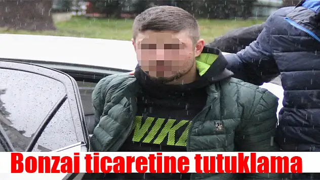 Bonzai ticaretine tutuklama